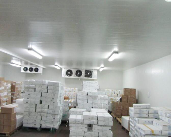 Milk and Storage of Dairy Products Solution