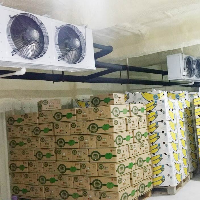 Fruit Ripening Cold Rooms Fruit Ripening Cold Rooms