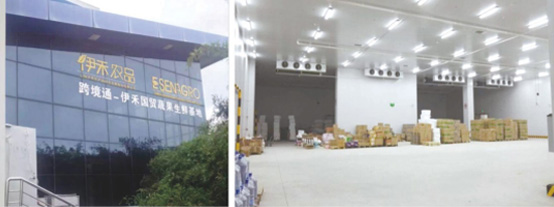 Kuajingtong – Esen International Commerce Fresh Fruit and Vegetable Base Cold Storage Project