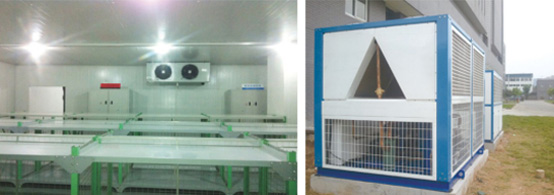 Mayinglong Pharmaceutical High-temperature Medicine Cold Storage