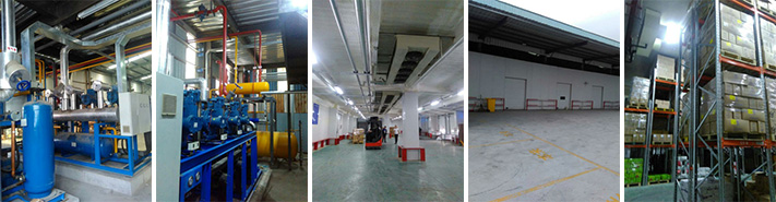 hanghai Shanpu Supply Chain Large Logistics Cold Storage Project