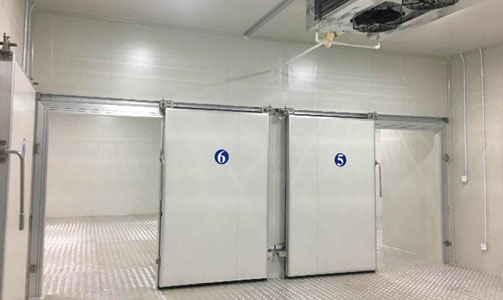 Commercial Cold Room