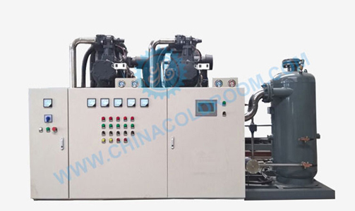 Two Stage Air Cooled Screw Condensing Unit 