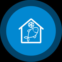 Fish Storage and Blast Freezing