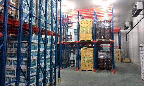 Fruitday Fruit Fresh-keeping Cold Storage Project
