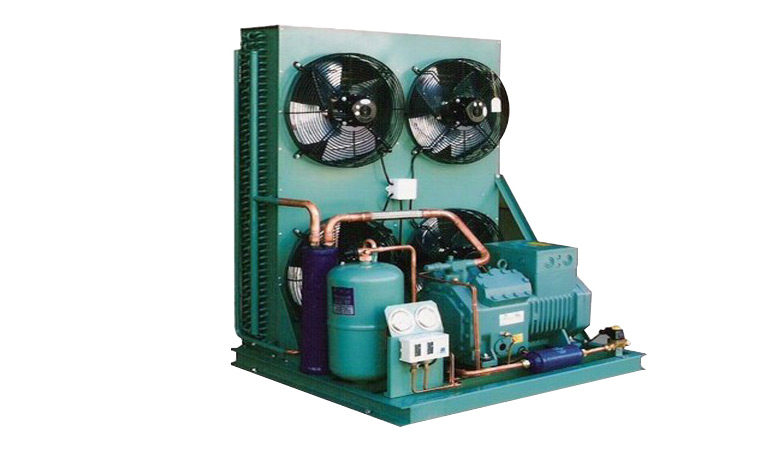 Bitzer Compressor Condensing Unit for -20～-15 ℃ Cold Storage